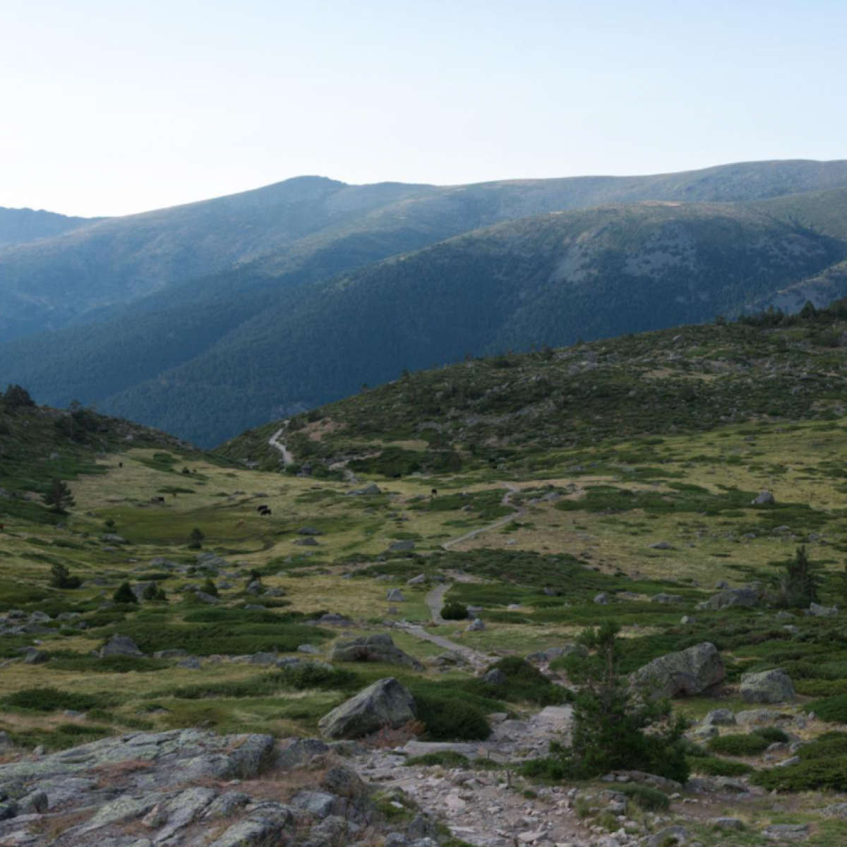 Laguna de los Pájaros