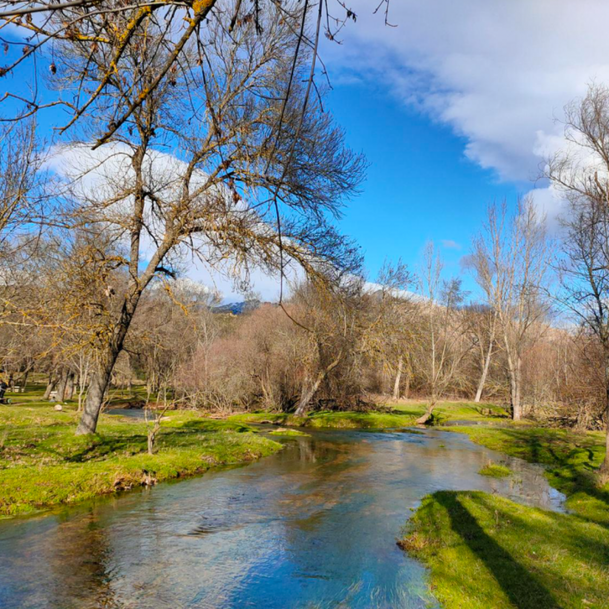 Por la chopera del río Samburiel