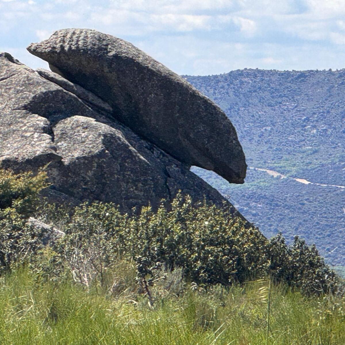Cruz del Mierlo BANNER