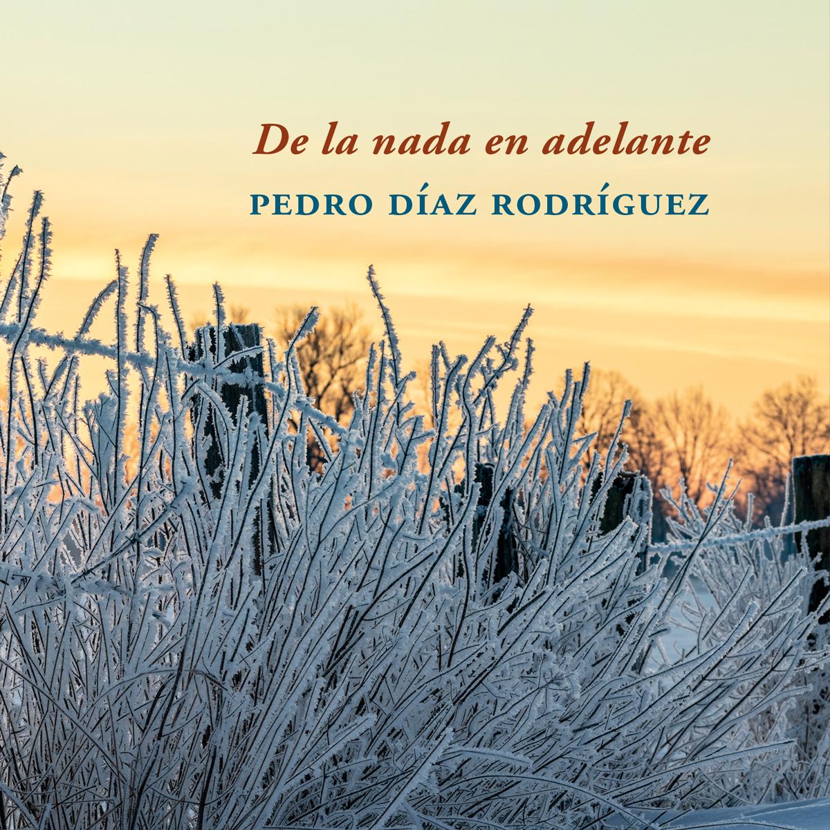De la nada en adelante BANNER