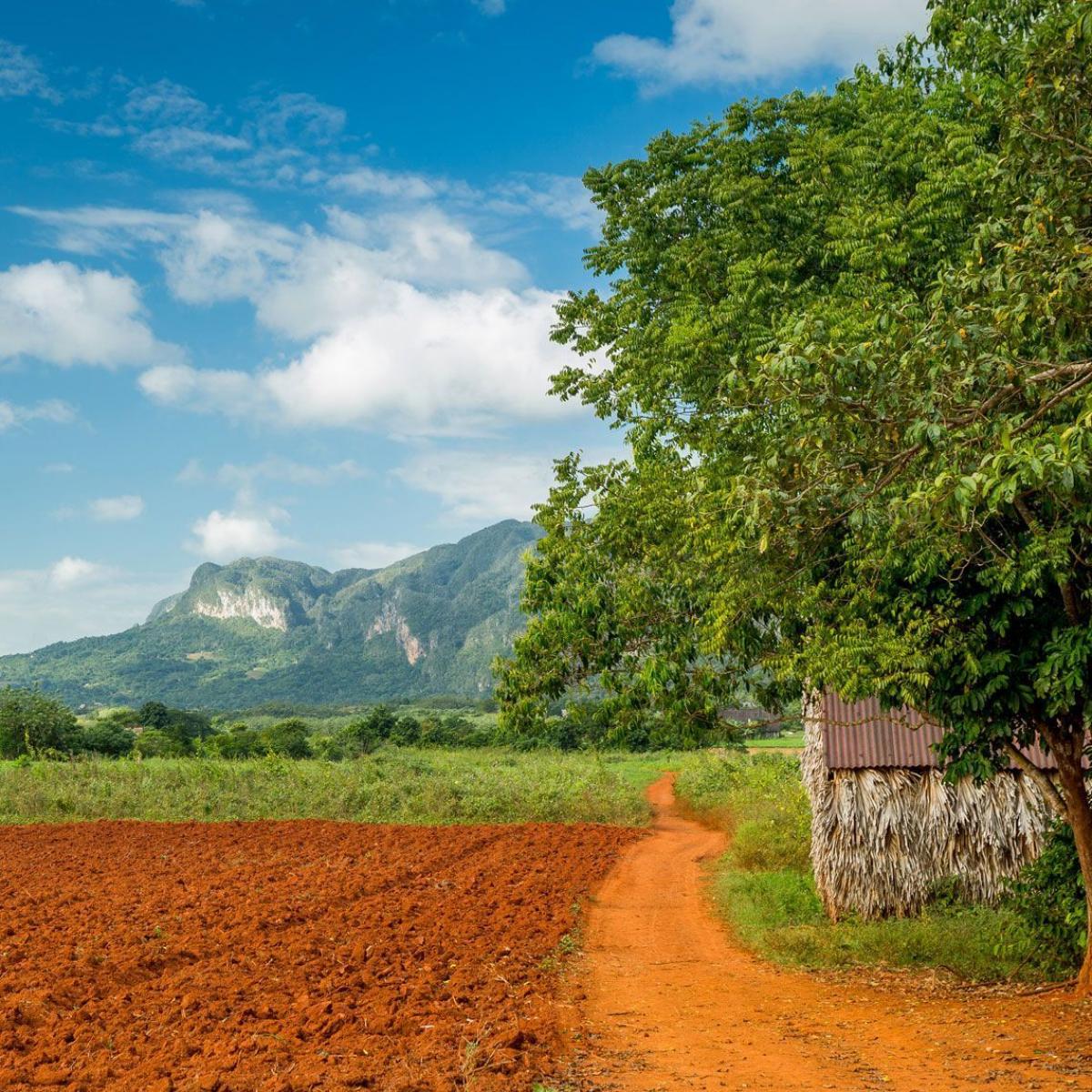 Cuba: Atrévete a vivirla JULIO 2026