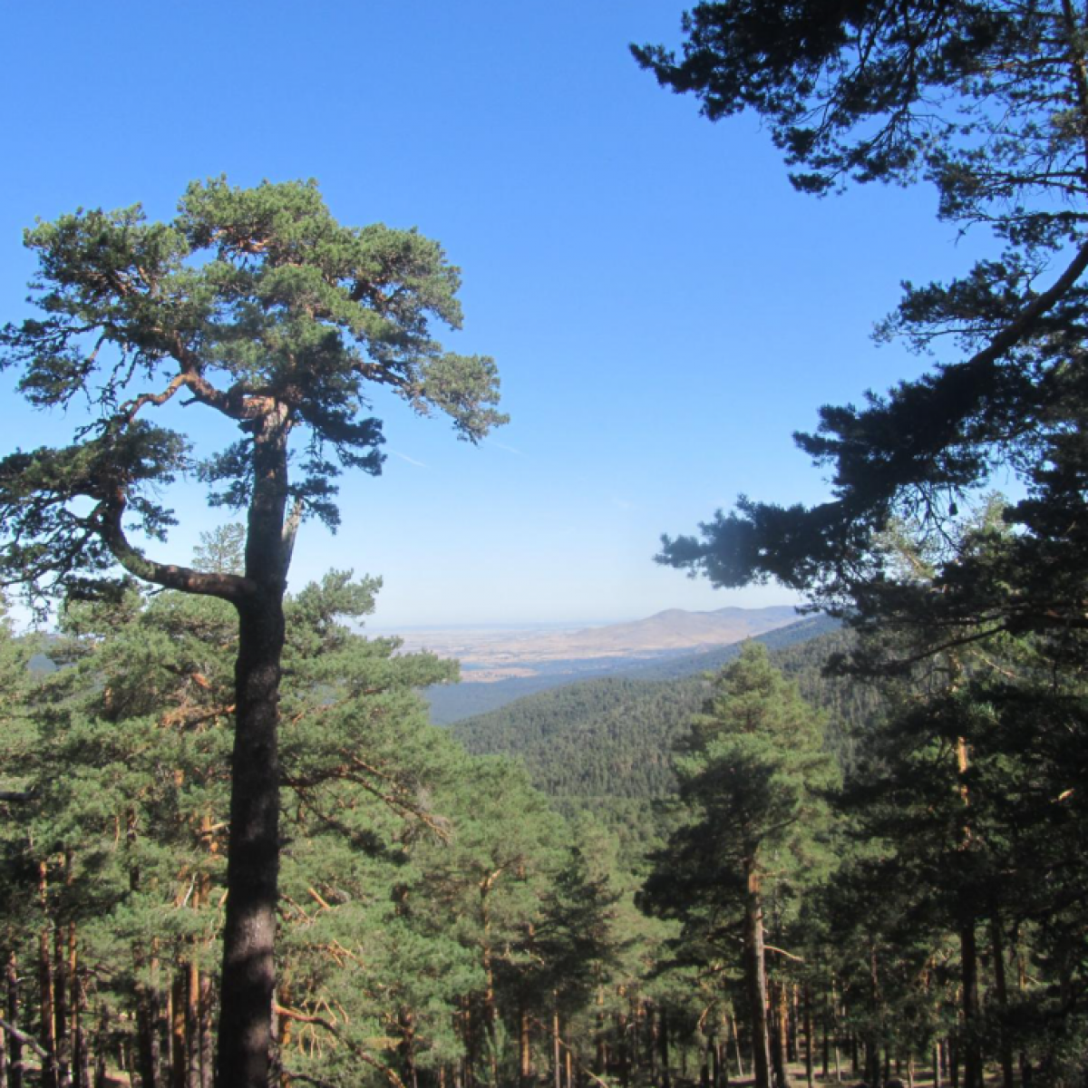 De Navacerrada a la Fuenfría