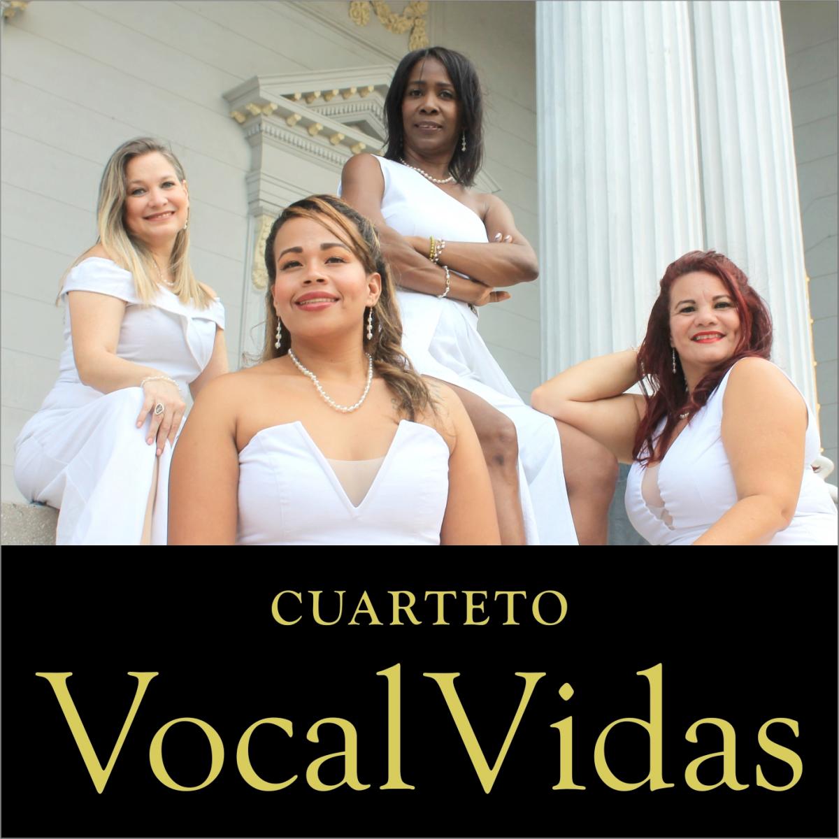 Vocal Vidas BANNER