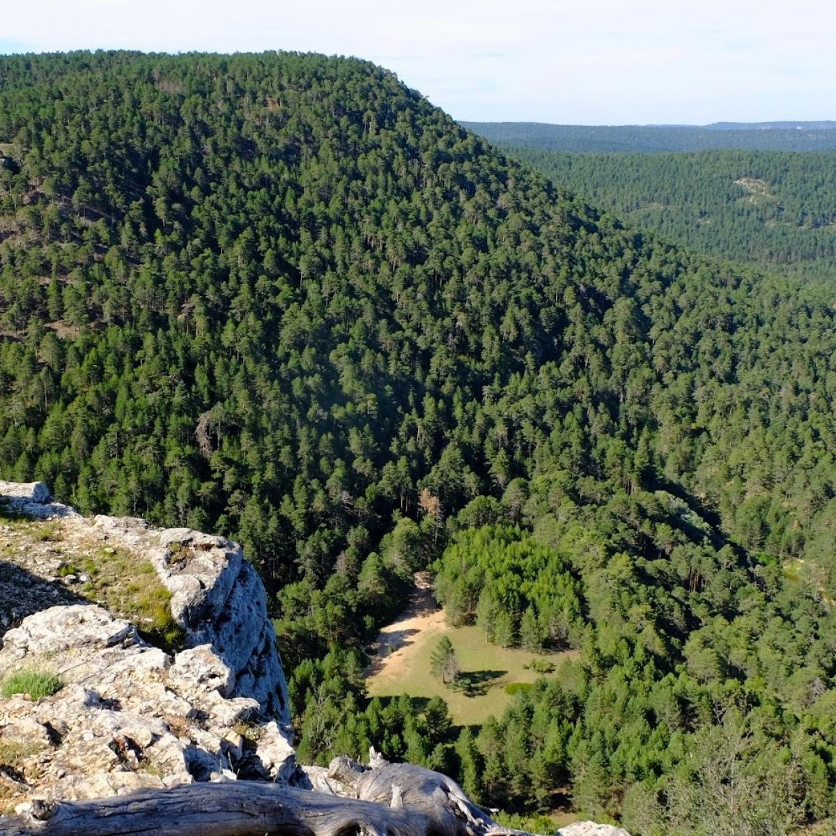 Serrana de Cuenca BANNER