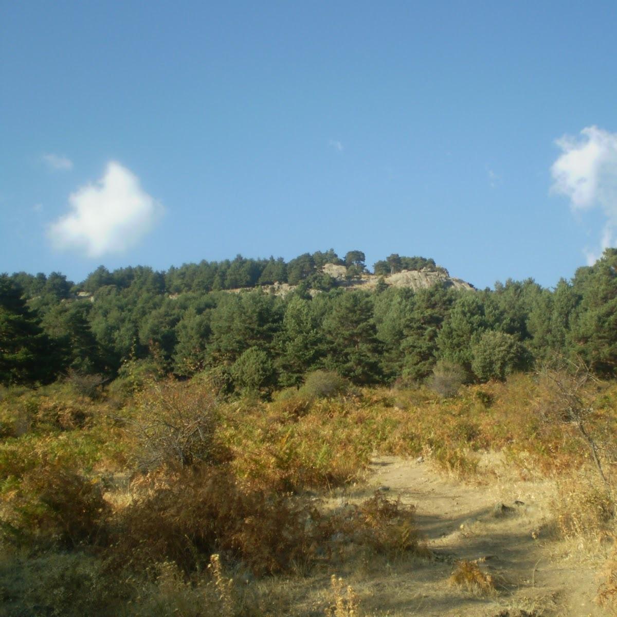 Pradera de las Cortes BANNER