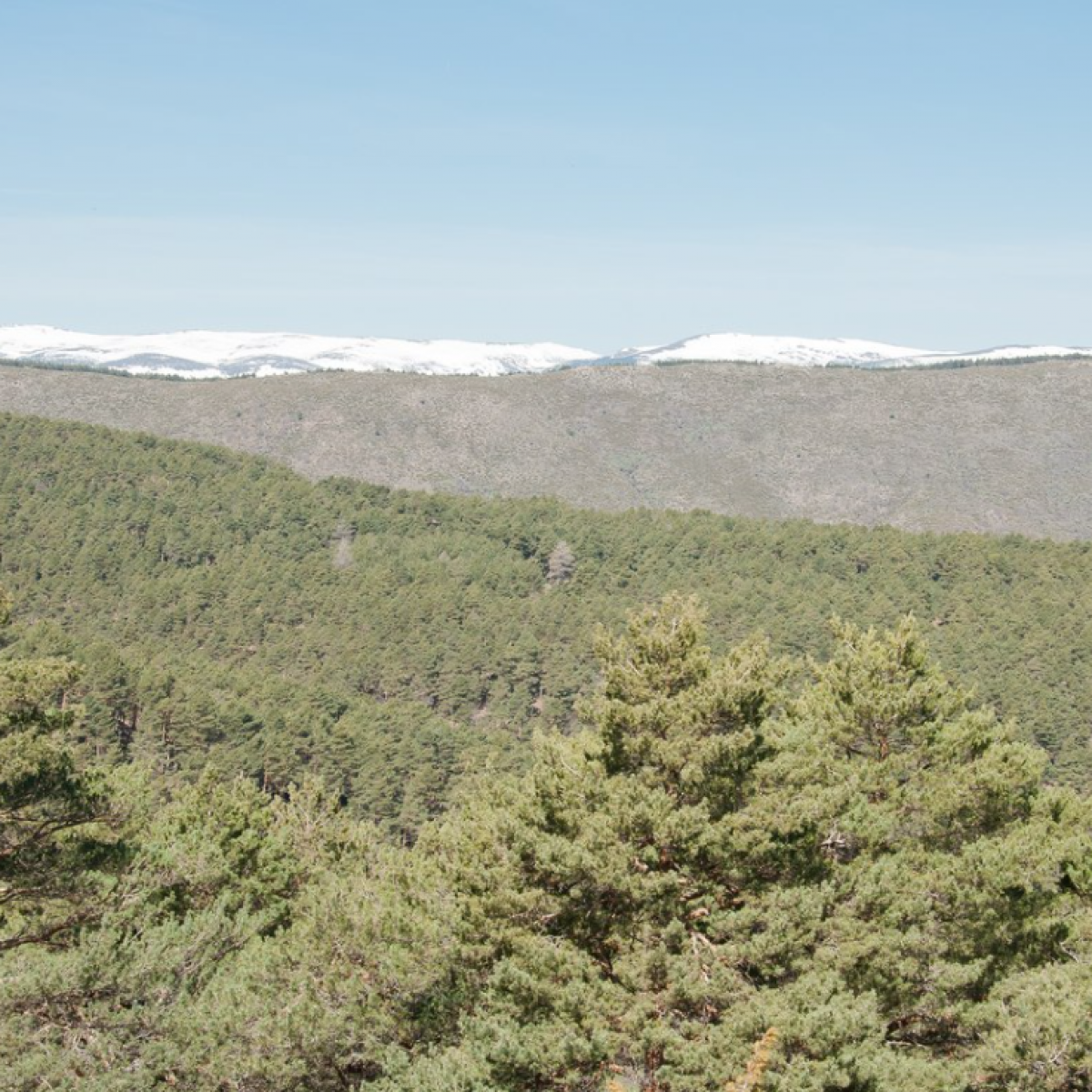 Collado de los Altares