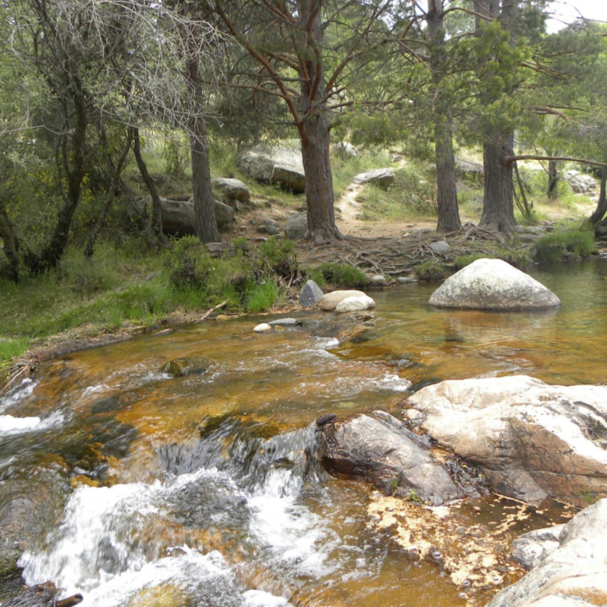 Collado del Cabrn BANNER